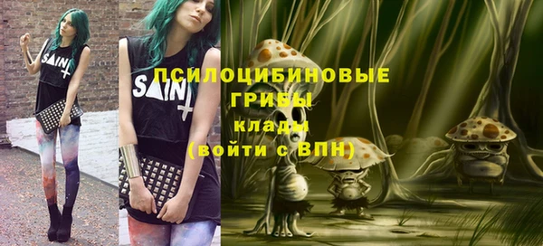 mdma Медвежьегорск