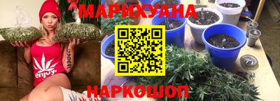 мяу мяу мука Аргун