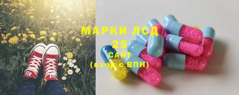 ЛСД экстази ecstasy  наркошоп  Богородицк 