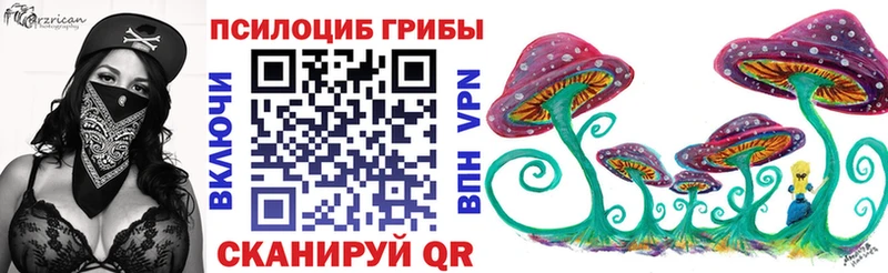 наркошоп  Богородицк  Псилоцибиновые грибы MAGIC MUSHROOMS 