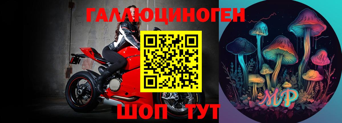 Псилоцибиновые грибы GOLDEN TEACHER Богородицк