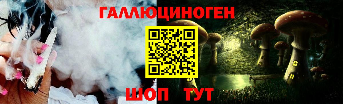 Галлюциногенные грибы Psilocybe  Богородицк  Псилоцибиновые грибы прущие грибы 