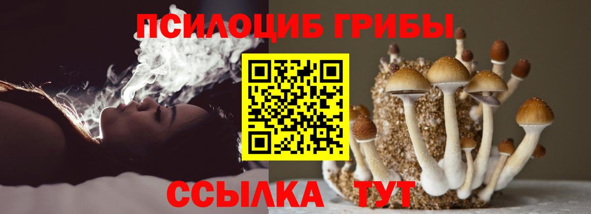 Богородицк  Псилоцибиновые грибы GOLDEN TEACHER  Вход с VPN 